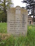 image of grave number 724518